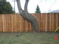 STP61180 photo3_small.jpg